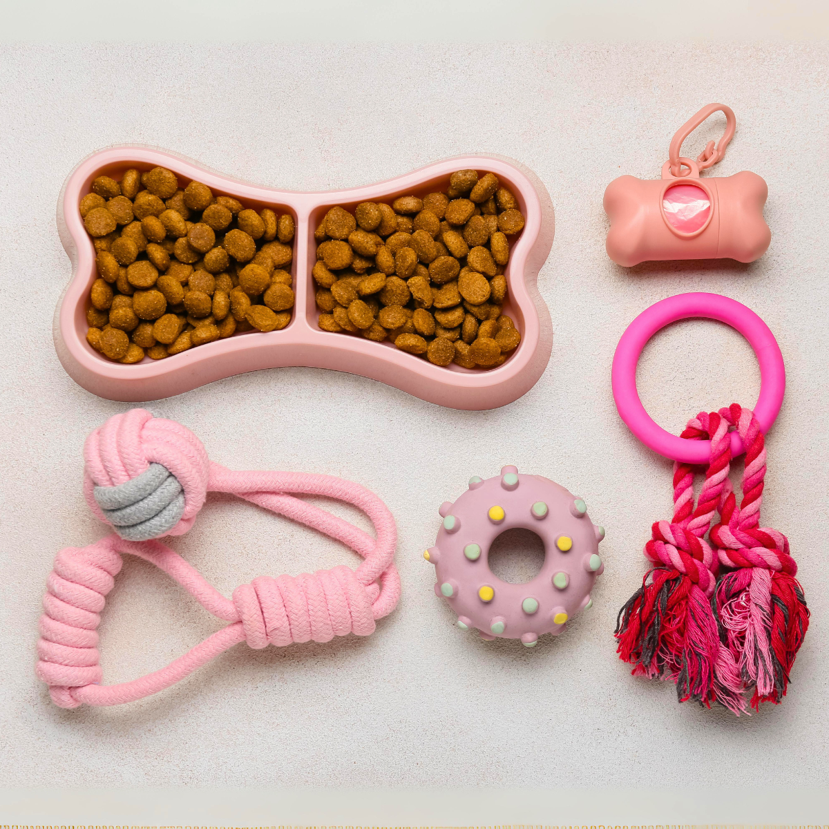 Pet Accessories