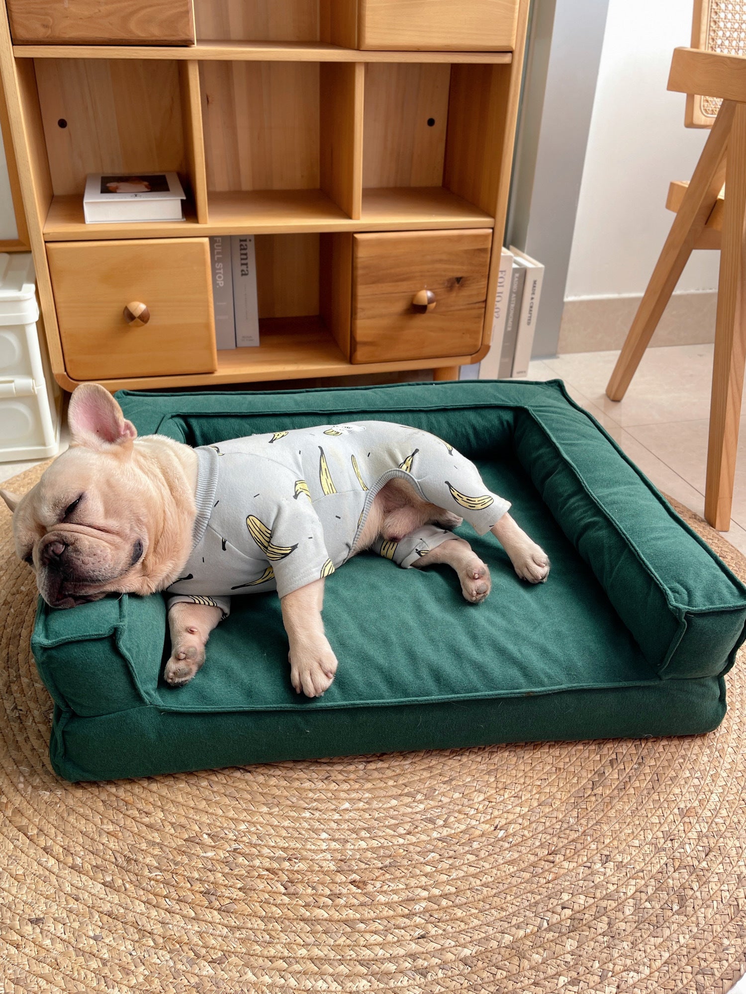 Washable Sponge Pet Bed