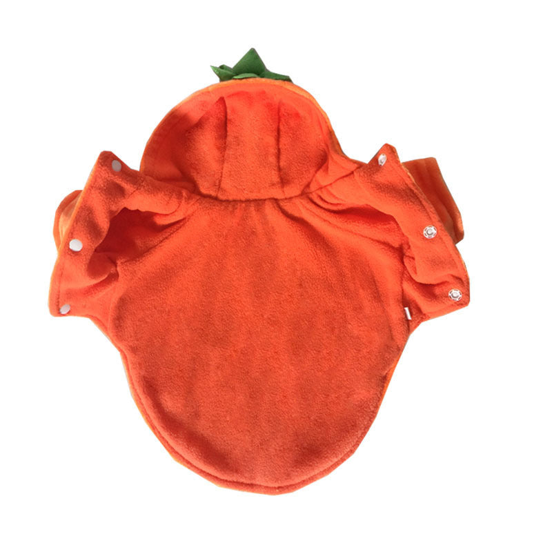 Halloween pet clothes pumpkin demon transformation costume