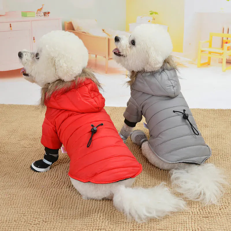 Lightweight Winter Down Jacket for Pets