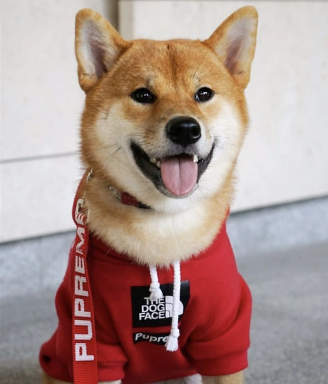 Warm autumn and winter dog clothes