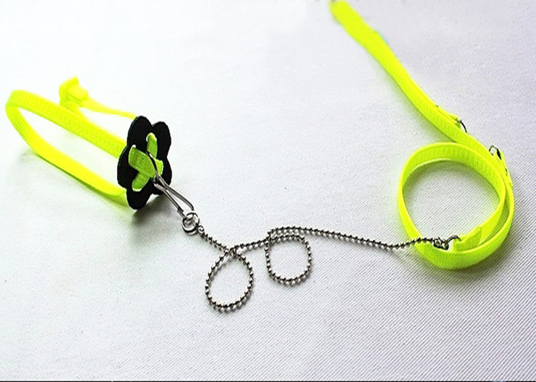 Pet Supplies Outdoor Portable Walking Adjustable Walking Lizard Rope