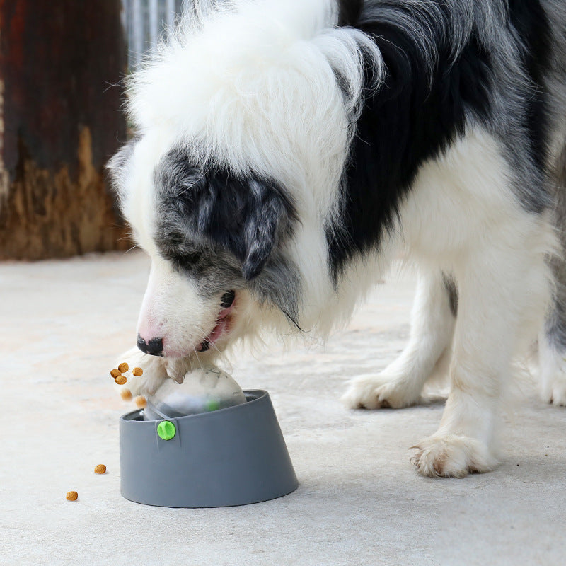 Dog Educational Toys Missing Food Ball