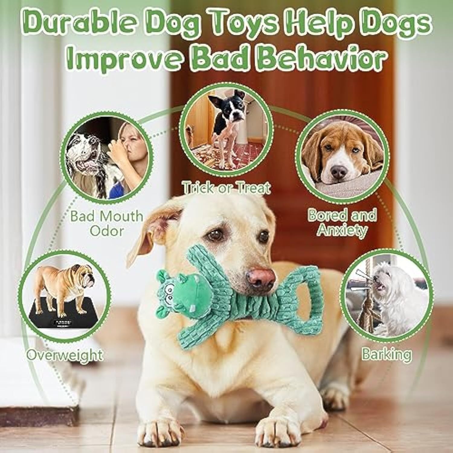 Large Squeaky Dog Toys Plush Dog Toys With Soft Fabric For Small Medium And Large Pets  Tug Of War Dog Toys For Indoor Play