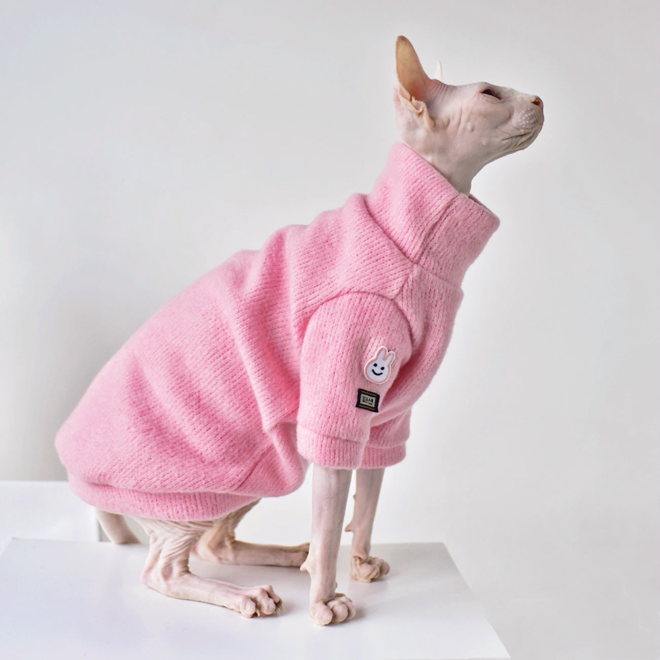 Thickened Warm Hairless Cat Coat In Winter