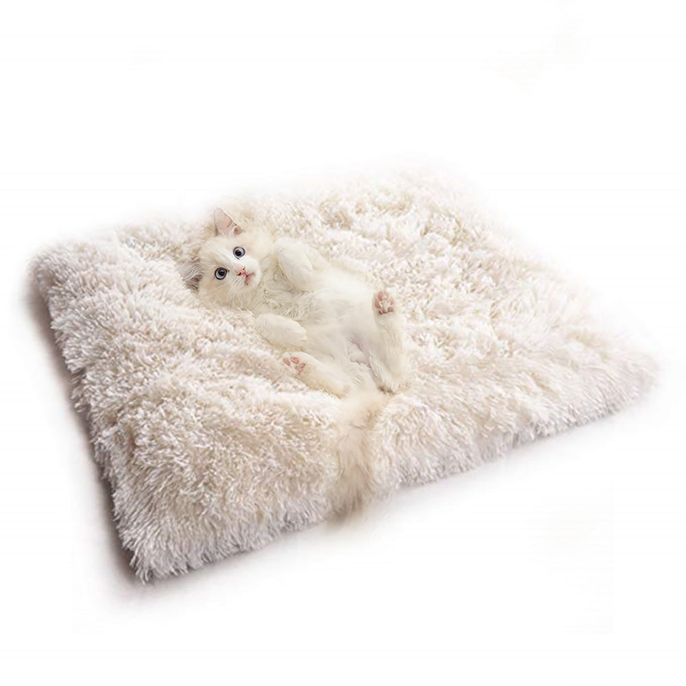 South Korean velvet cat bed