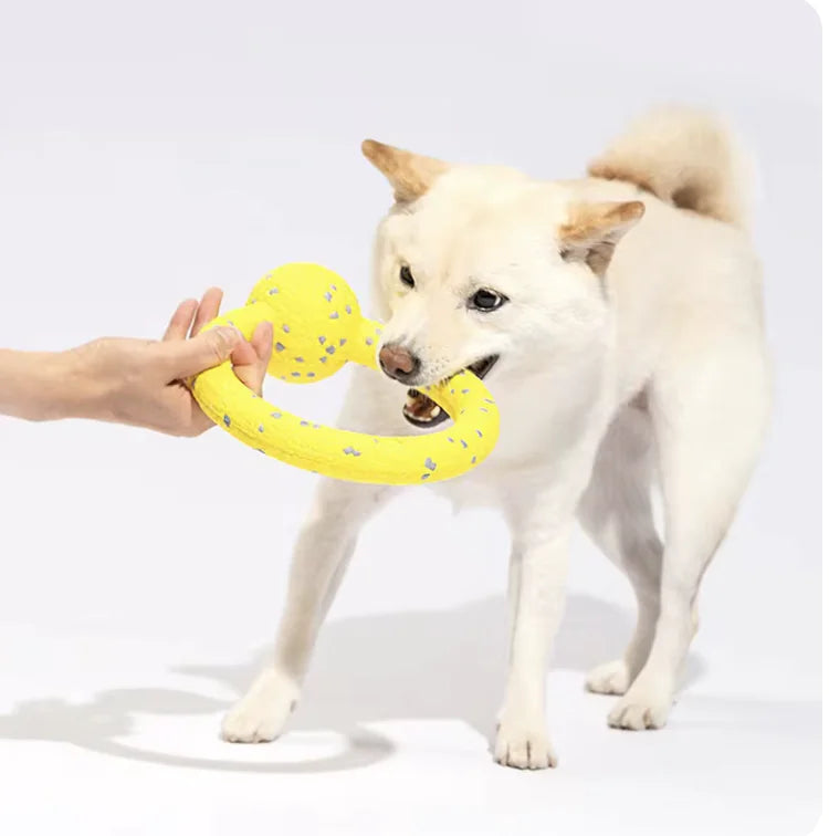 Durable Dog Tennis Balls
