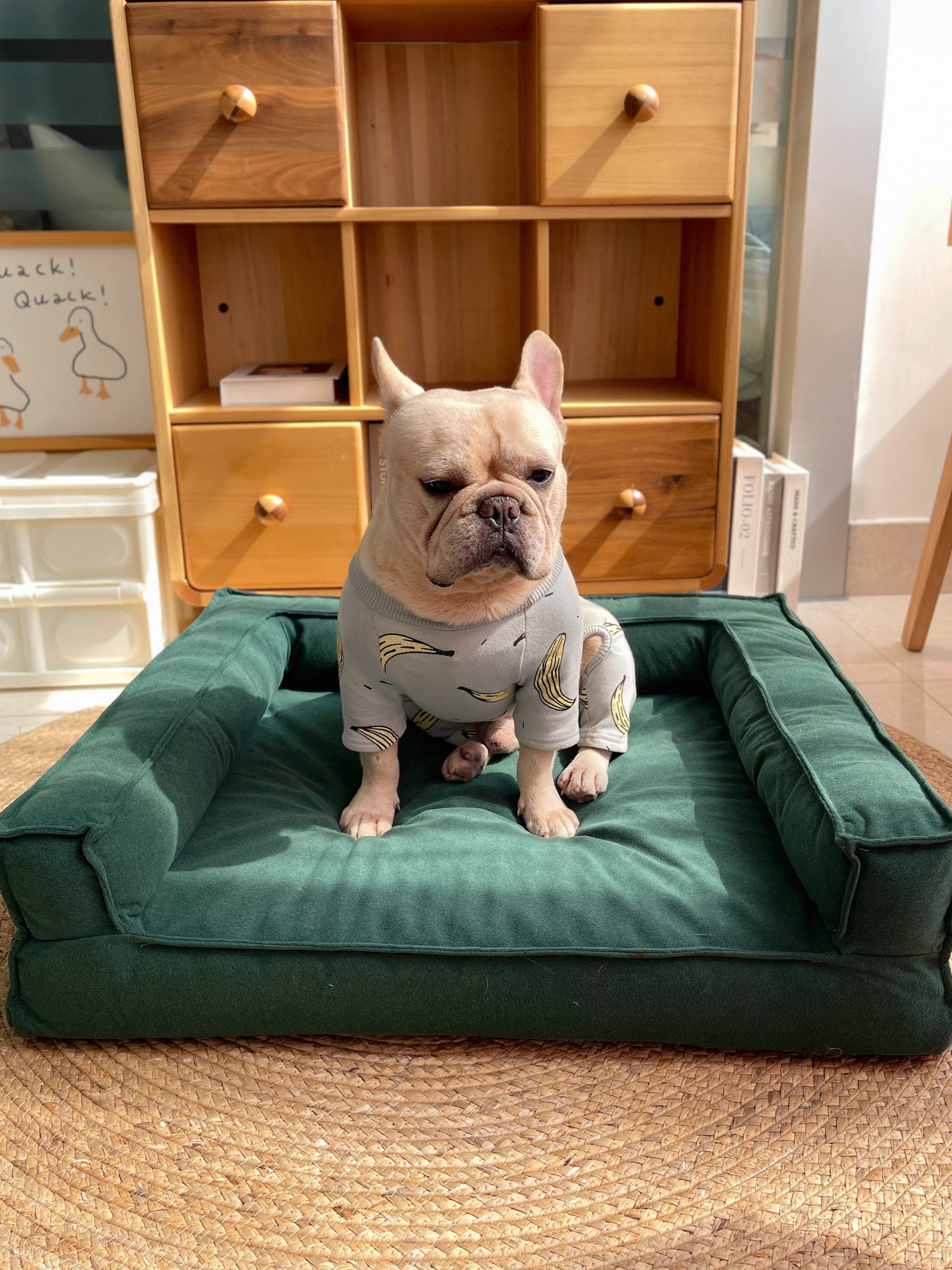 Washable Sponge Pet Bed