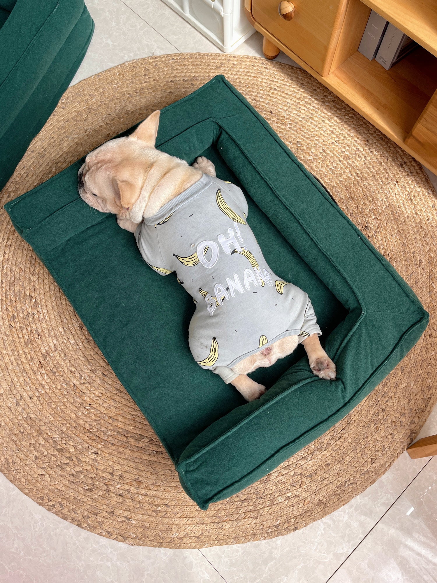 Washable Sponge Pet Bed