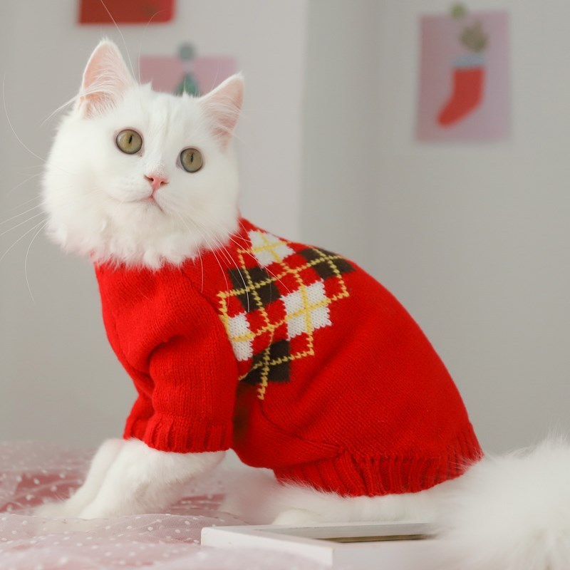 Clothes Fall Hair Fall Prevention Kitten Autumn And Winter Sweater