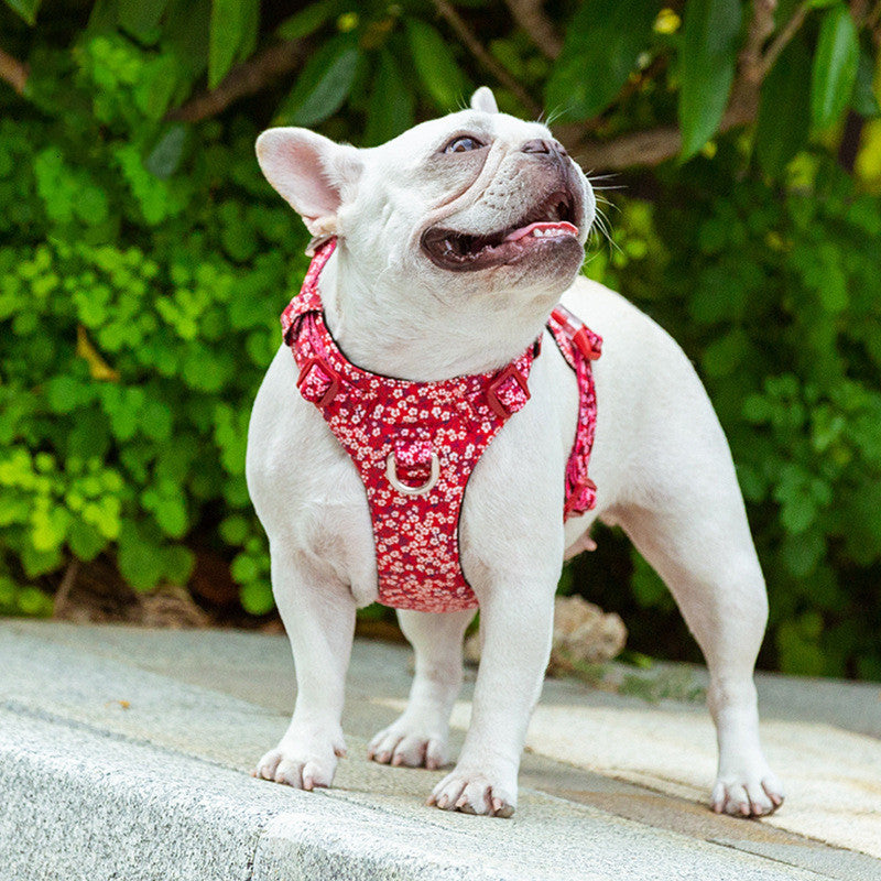 Fashion Personality Pet Chest Pull-resistant Strap