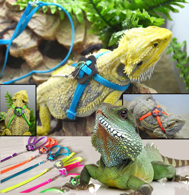 Pet Supplies Outdoor Portable Walking Adjustable Walking Lizard Rope