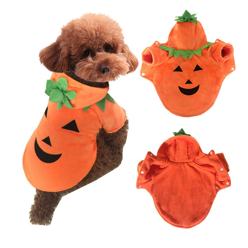Halloween pet clothes pumpkin demon transformation costume