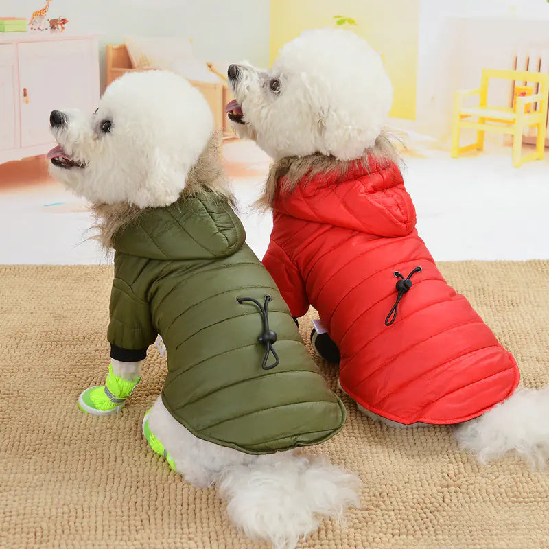 Lightweight Winter Down Jacket for Pets