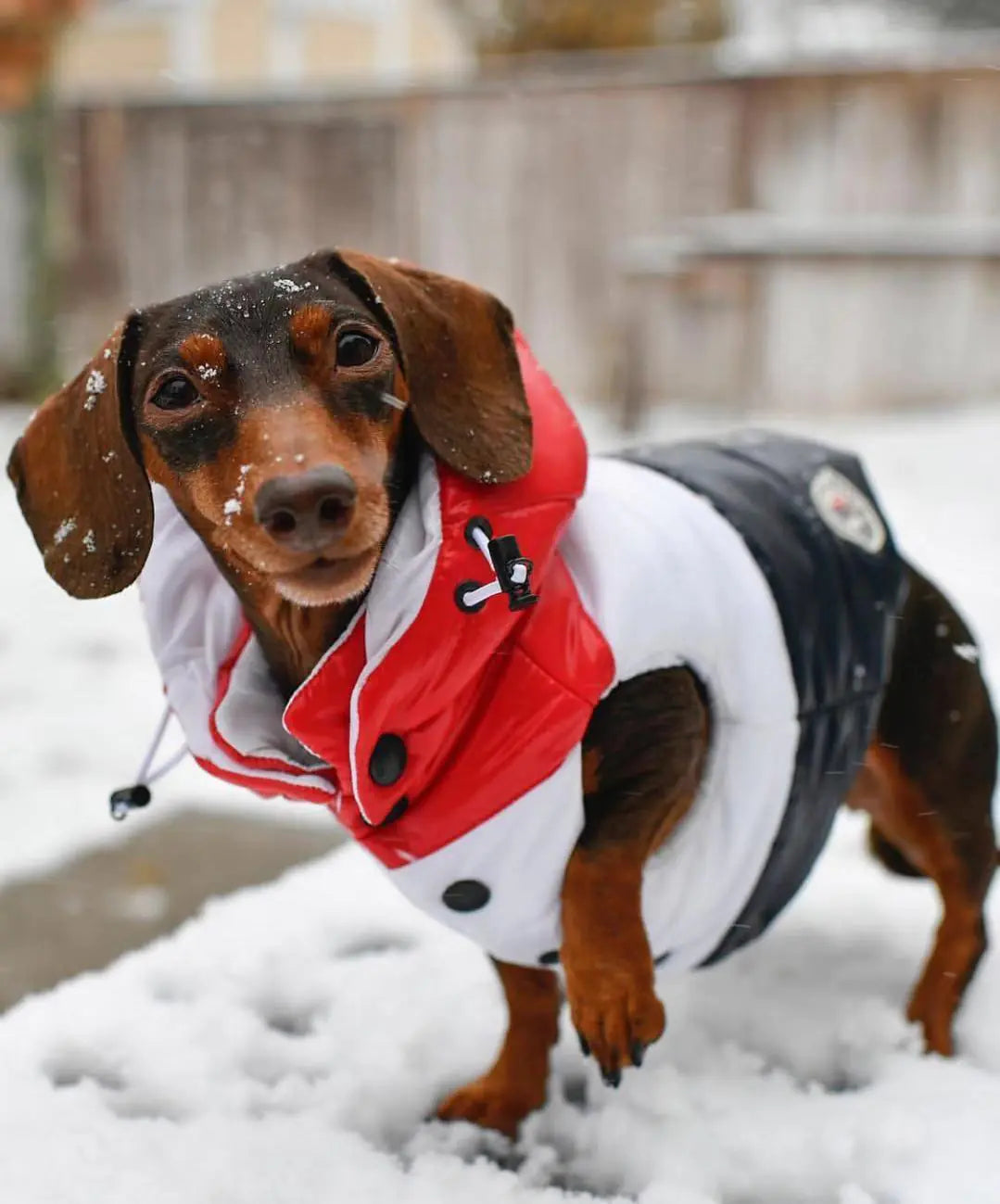 Autumn Winter Down Vest for Pets
