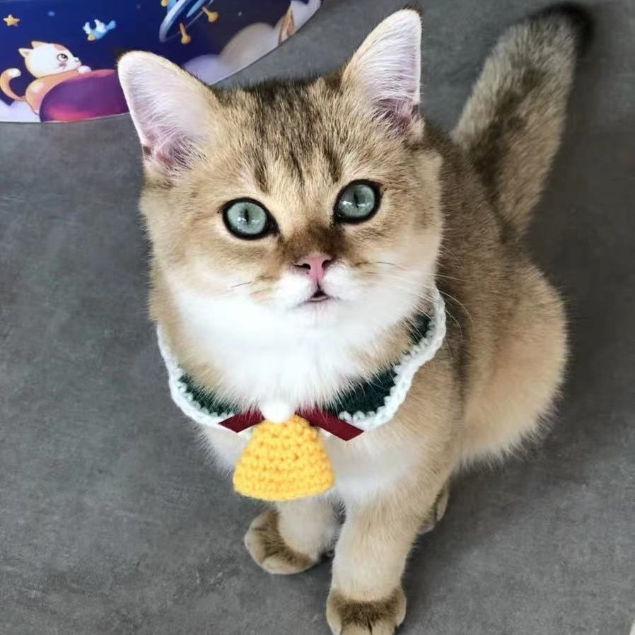 Collar Christmas Pet Accessories