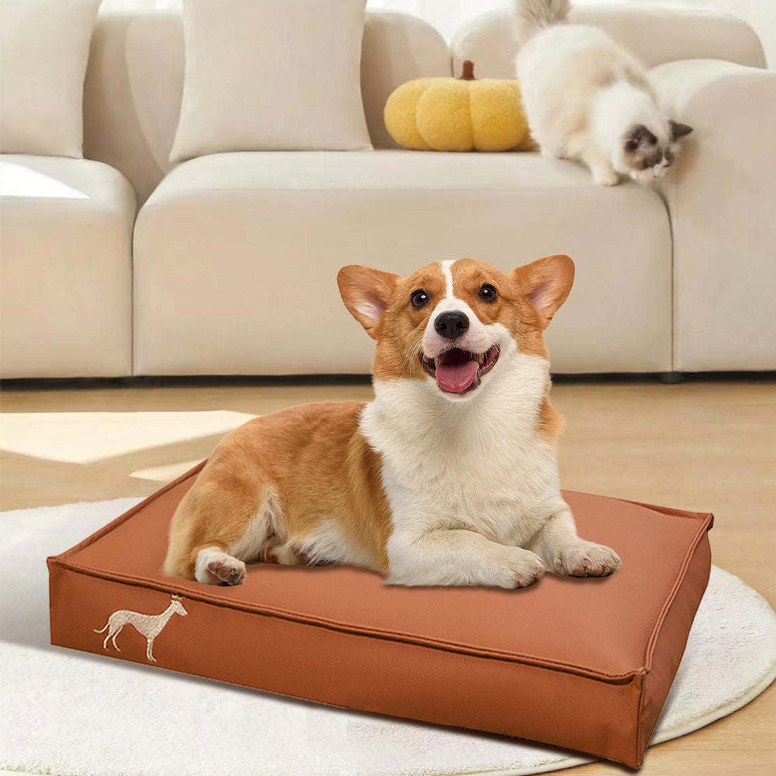Washable Scratch-resistant Cat Litter Mat