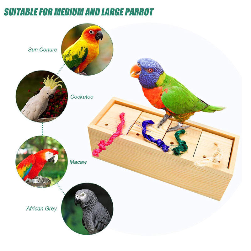 Parrot Toy Bird Supplies Supplies Puzzle Training