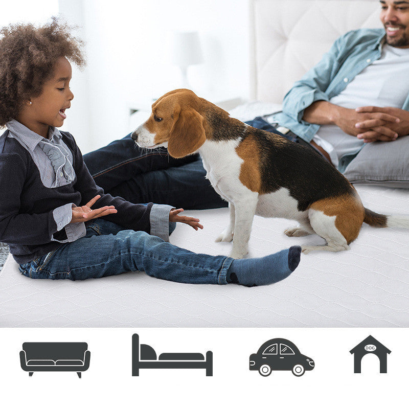 Recycle Pet Dog Urine Pads At Home