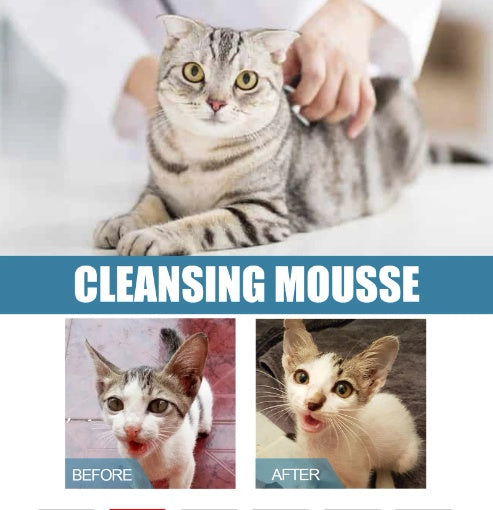 Pet Dry Wash Dry Cleaning Foam Body Wash For Cat And Dog Bath