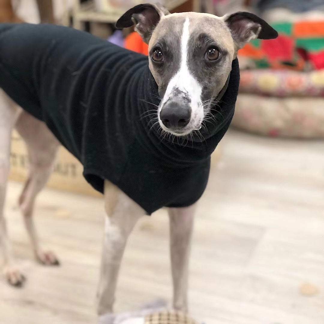 Polar Fleece Turtleneck Soft Dog Clothes