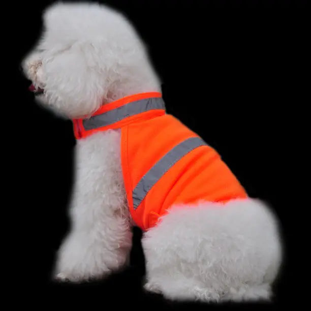 Fluorescent Safety Dog Vest for Pets